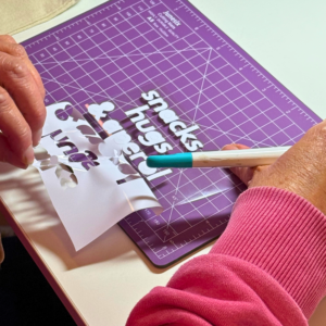 Plotter Basic – Dein Cricut-Gerät verstehen